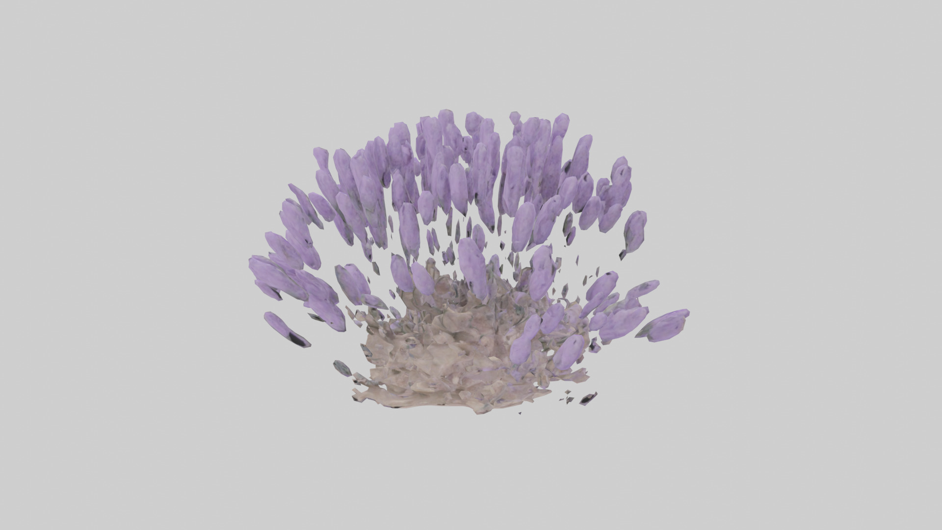 Lavender model Low-poly 3D model_8