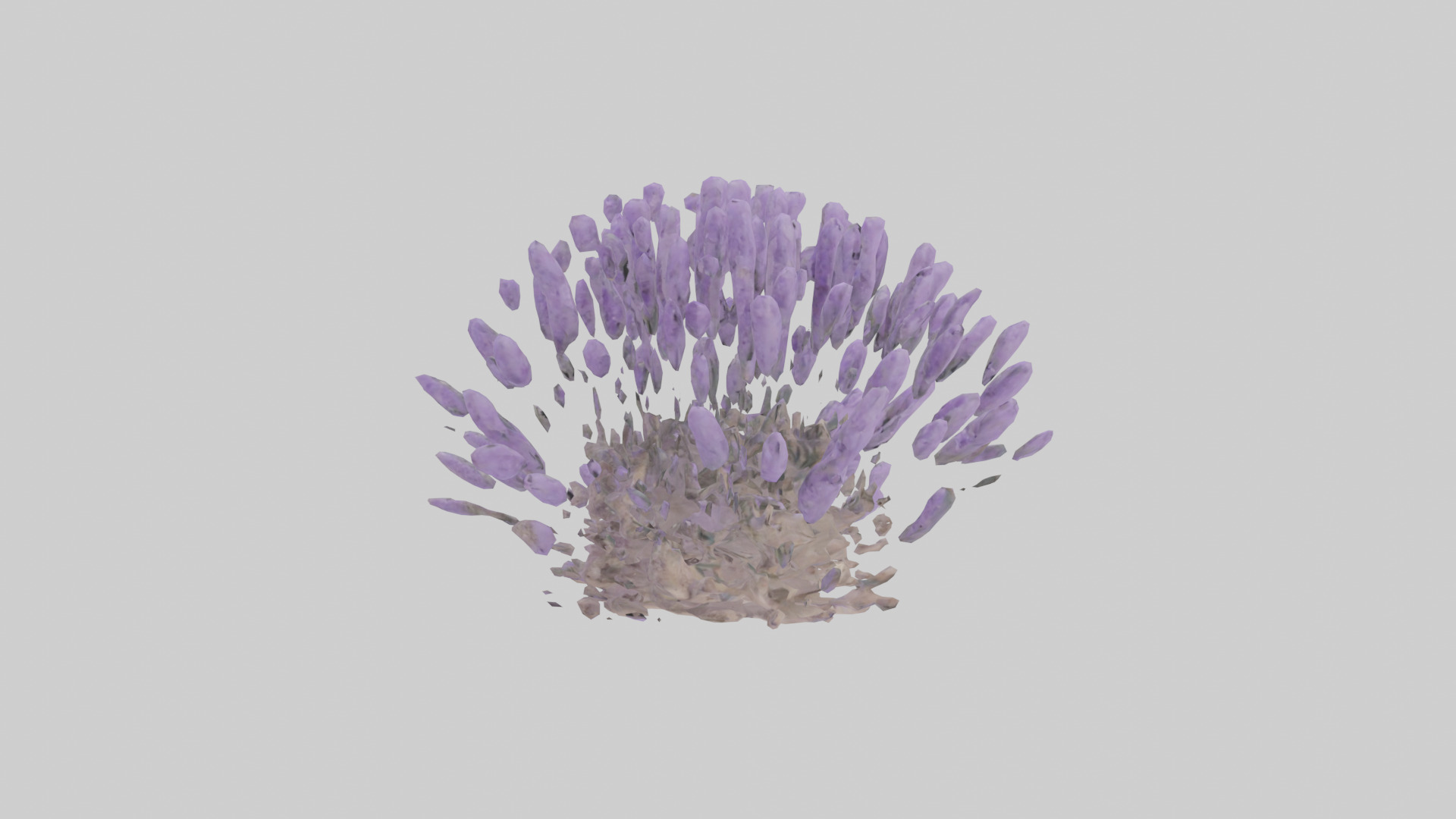 Lavender model Low-poly 3D model_13