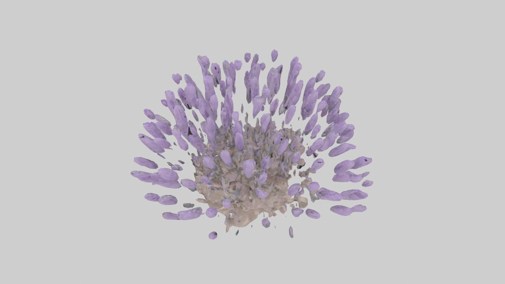 Lavender model Low-poly 3D model_16