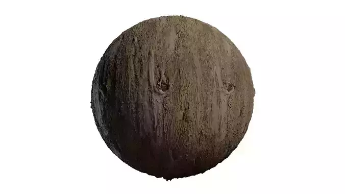 Anydrafts Olea europaea Bark 01