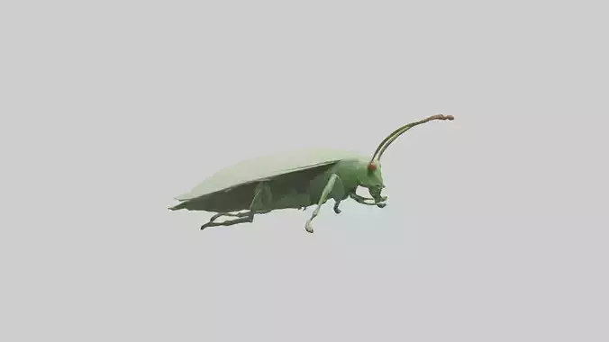 Leaf Insect hiding model