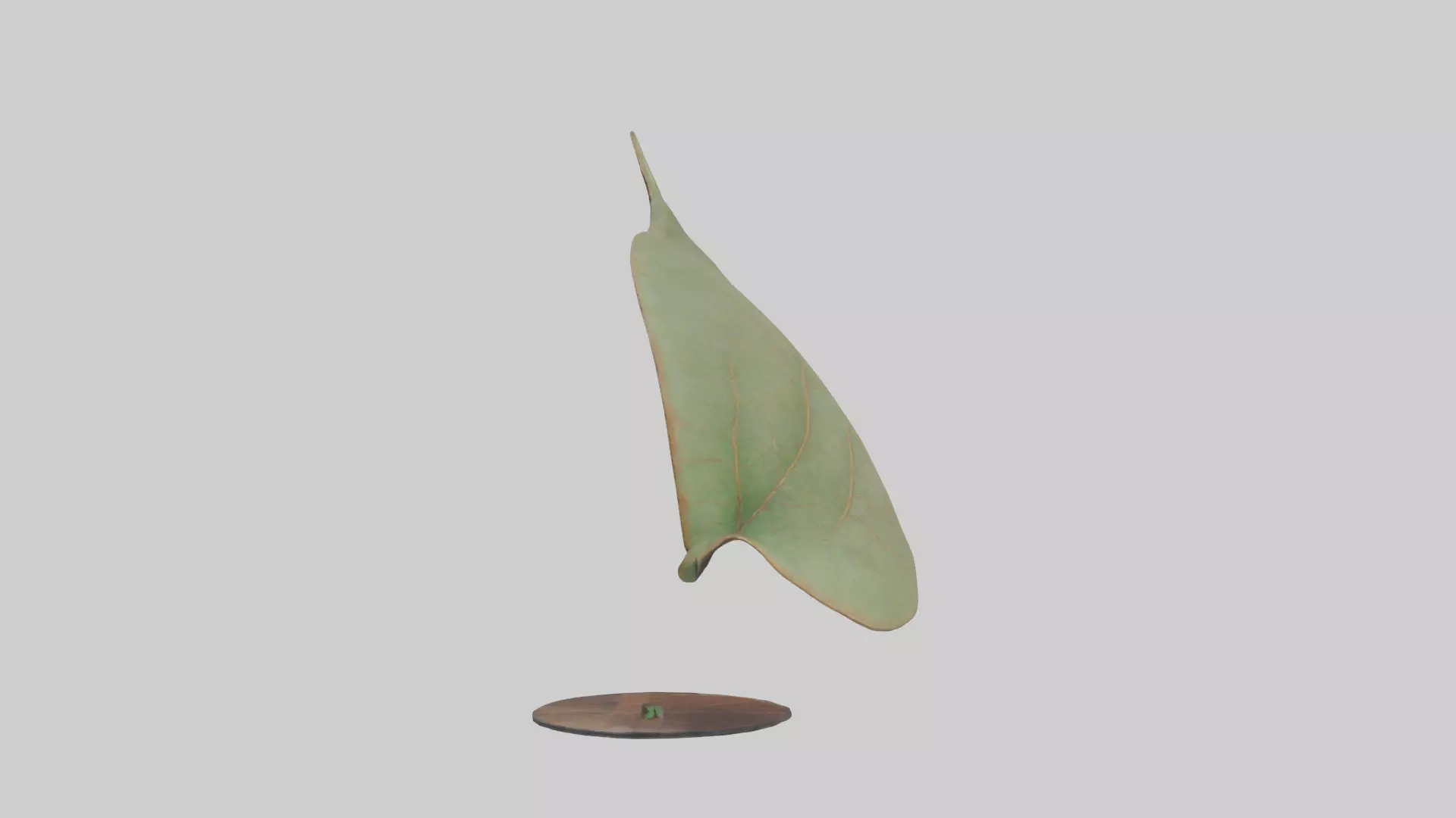 Leaf Vein Sculpture statue model Low-poly 3D model_0