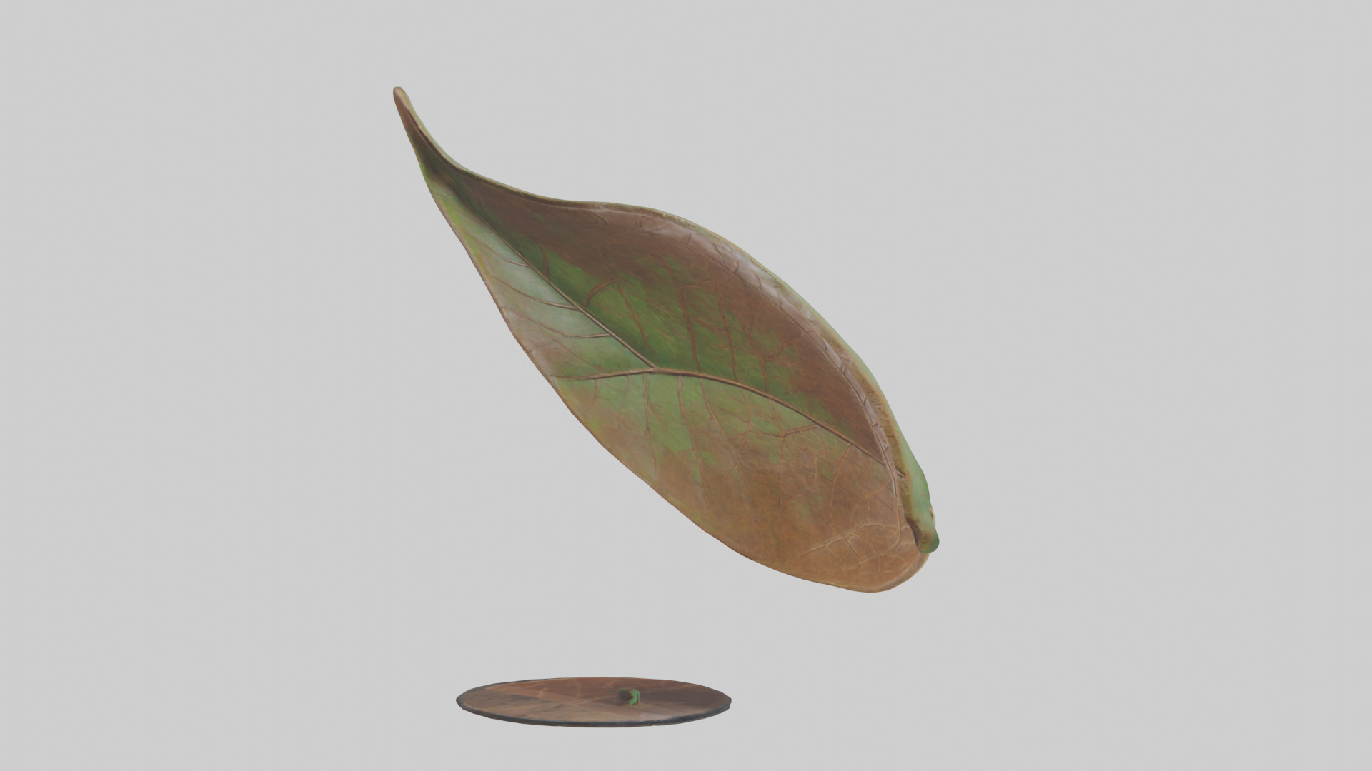 Leaf Vein Sculpture statue model Low-poly 3D model_1
