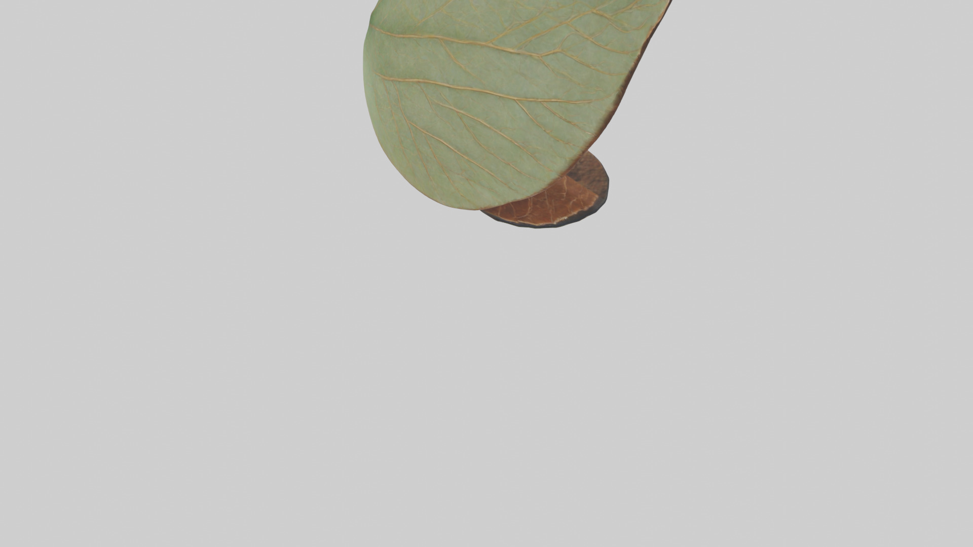 Leaf Vein Sculpture statue model Low-poly 3D model_6