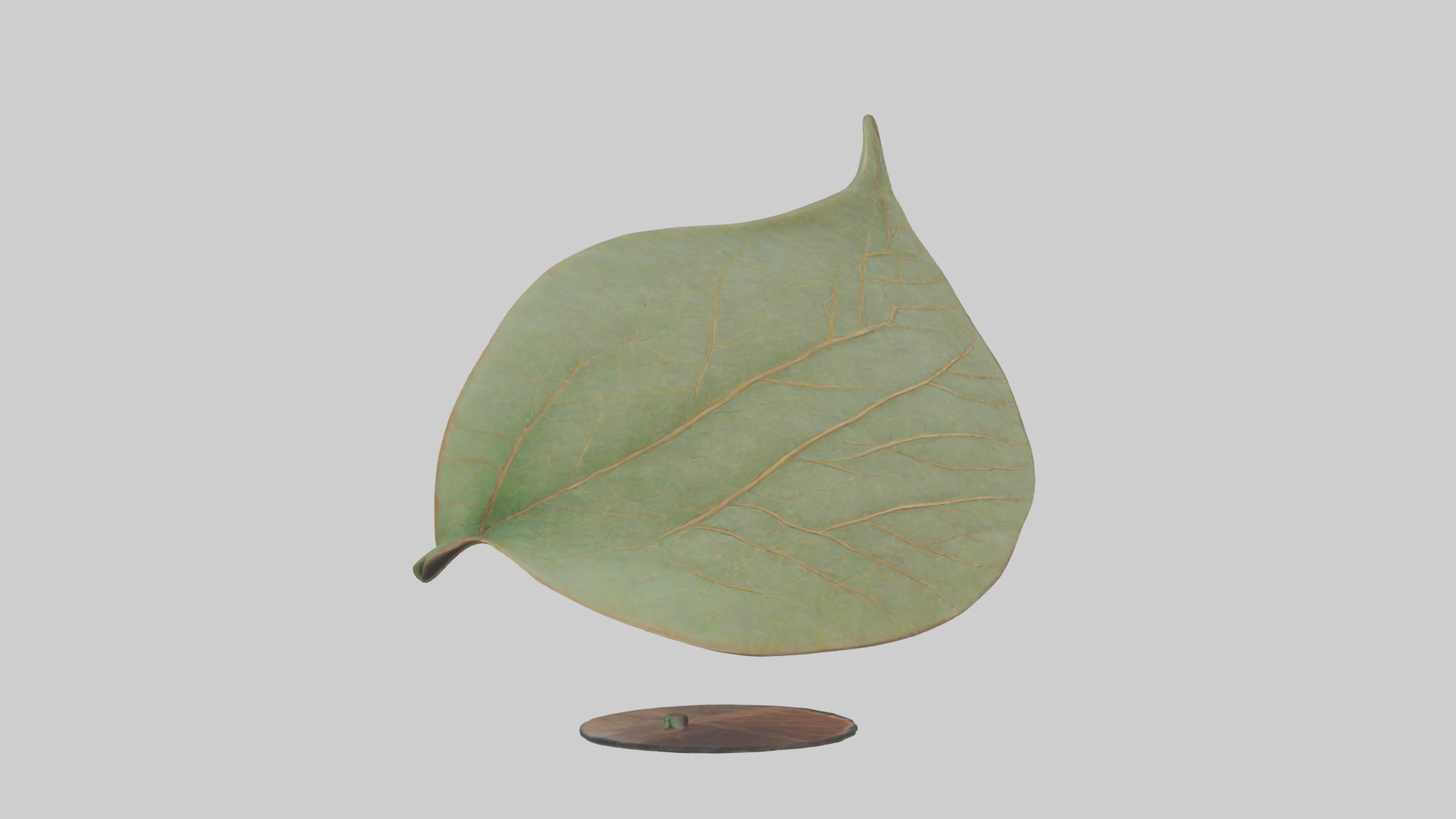 Leaf Vein Sculpture statue model Low-poly 3D model_2