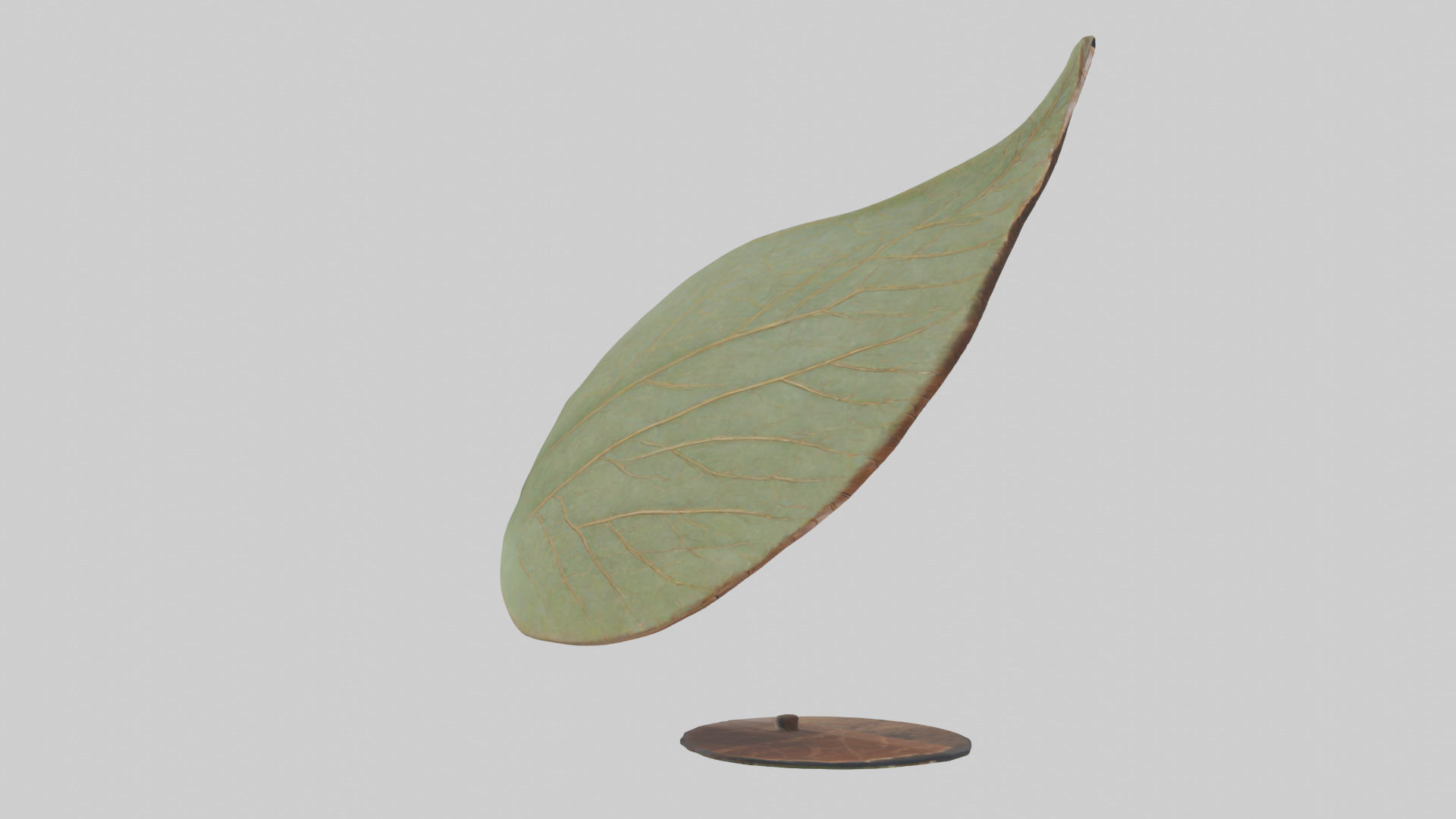 Leaf Vein Sculpture statue model Low-poly 3D model_7