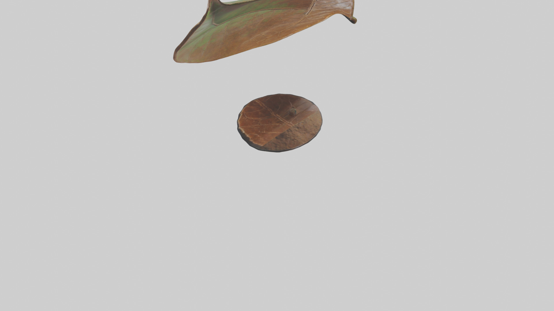 Leaf Vein Sculpture statue model Low-poly 3D model_5