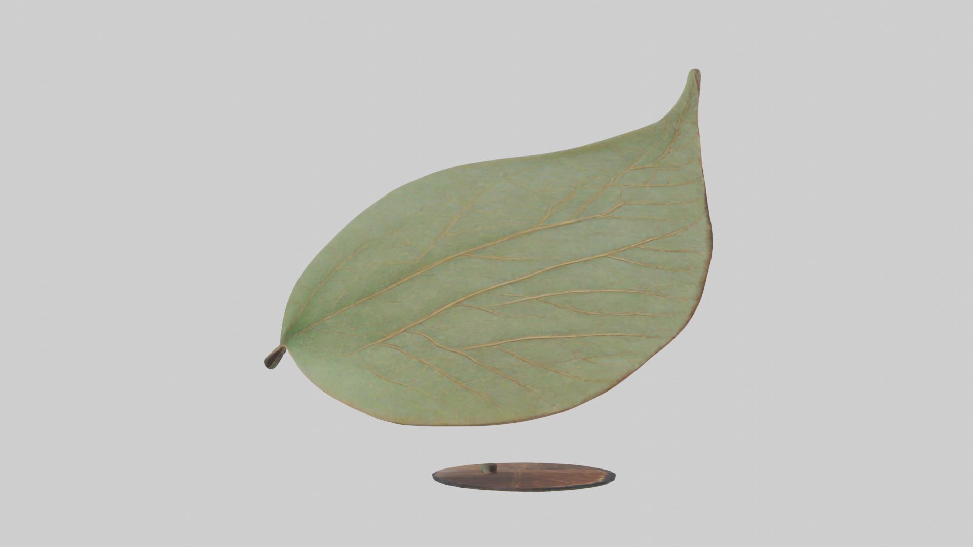 Leaf Vein Sculpture statue model Low-poly 3D model_13
