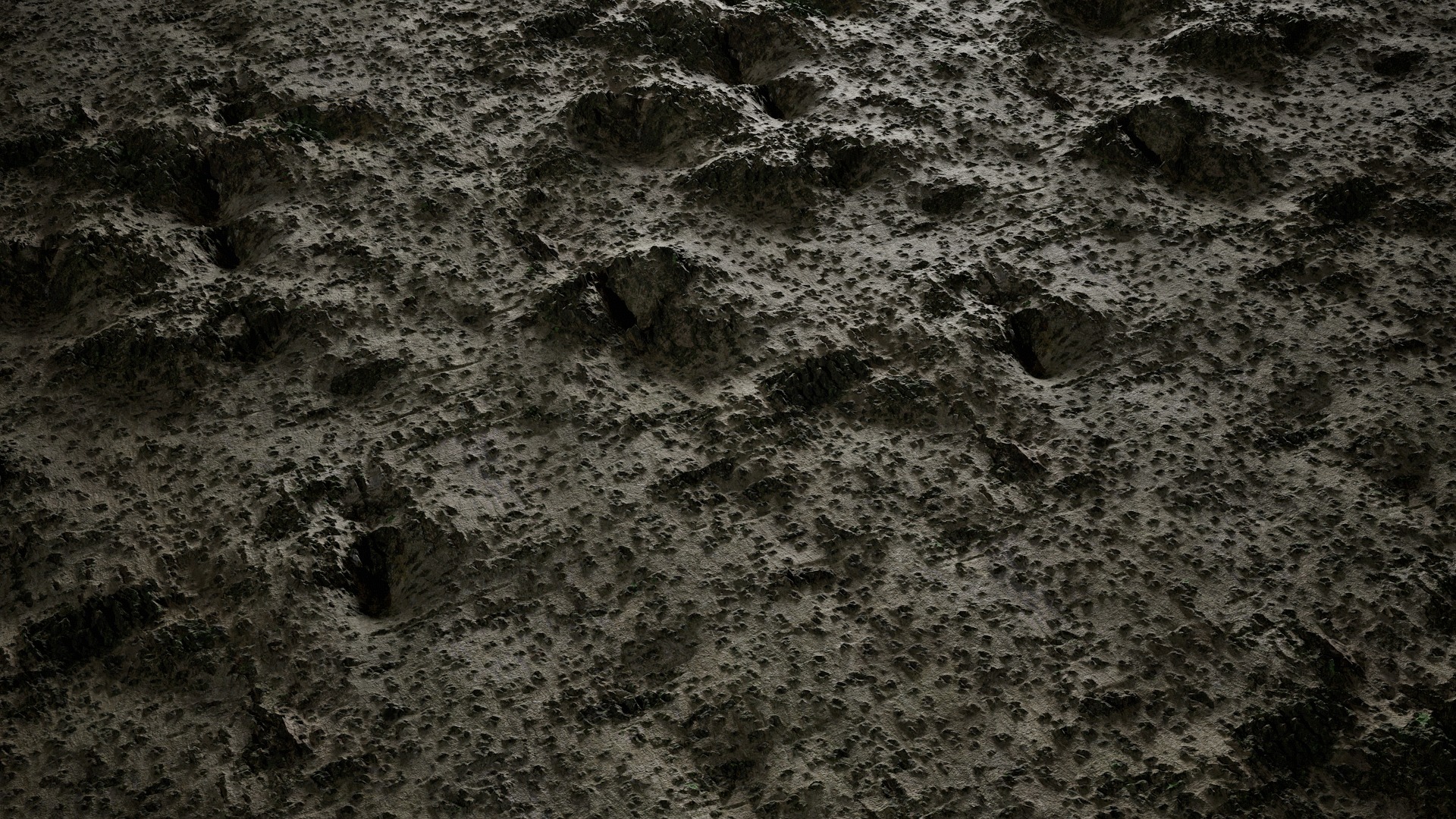 Anydrafts Osmanthus fragrans Bark 02 Texture_2