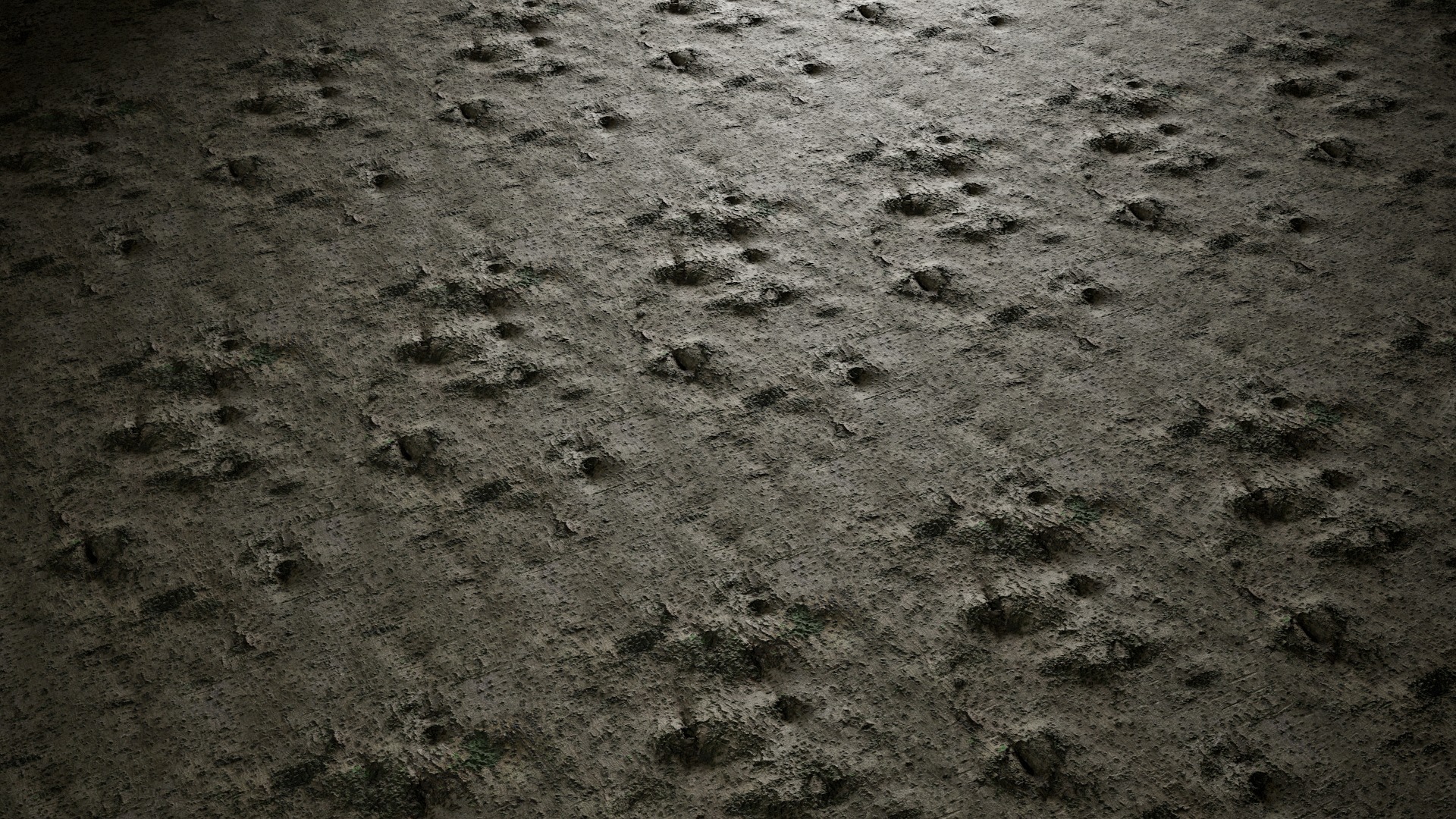 Anydrafts Osmanthus fragrans Bark 02 Texture_4