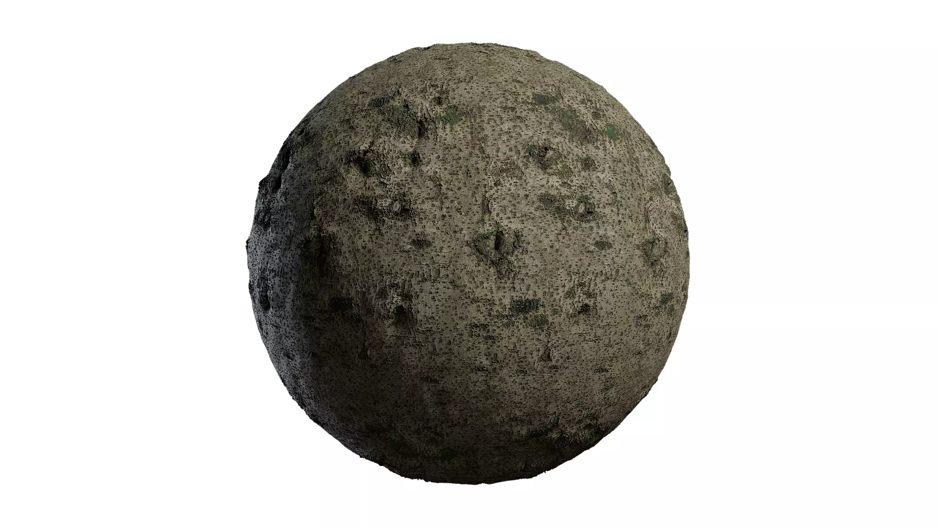 Anydrafts Osmanthus fragrans Bark 02 Texture_0