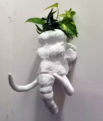 Mammoth head wall mount planter cactus pot flower vase STL