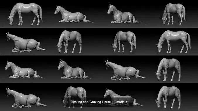 Resting and Grazing Horse