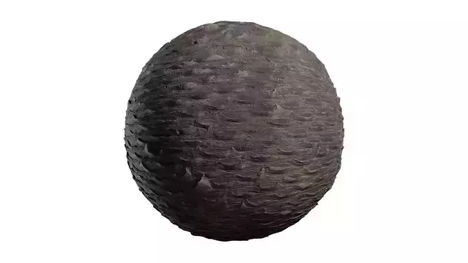 Anydrafts Phoenix canariensis Bark 05