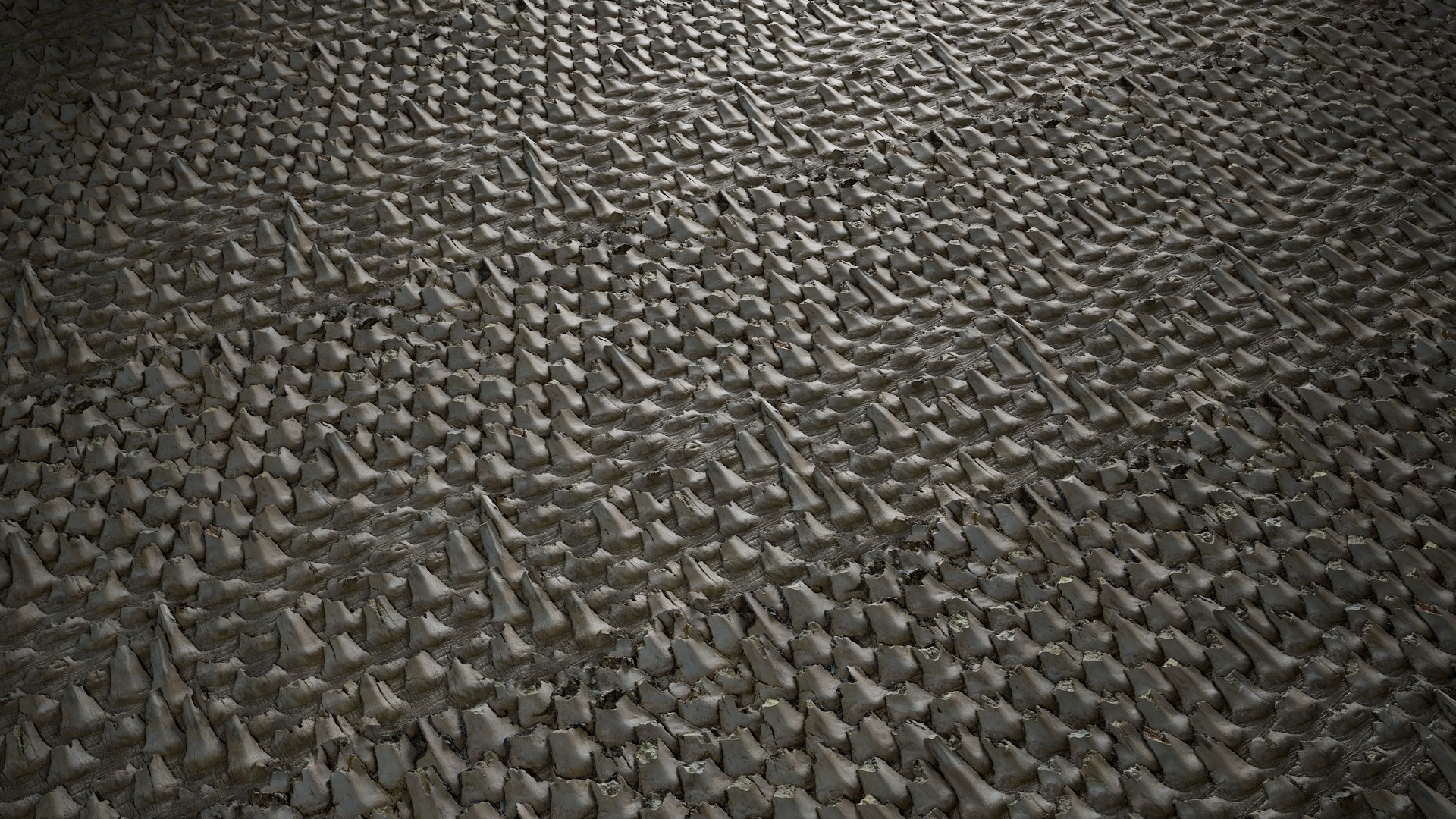 Anydrafts Phoenix canariensis Bark 08 Texture_4