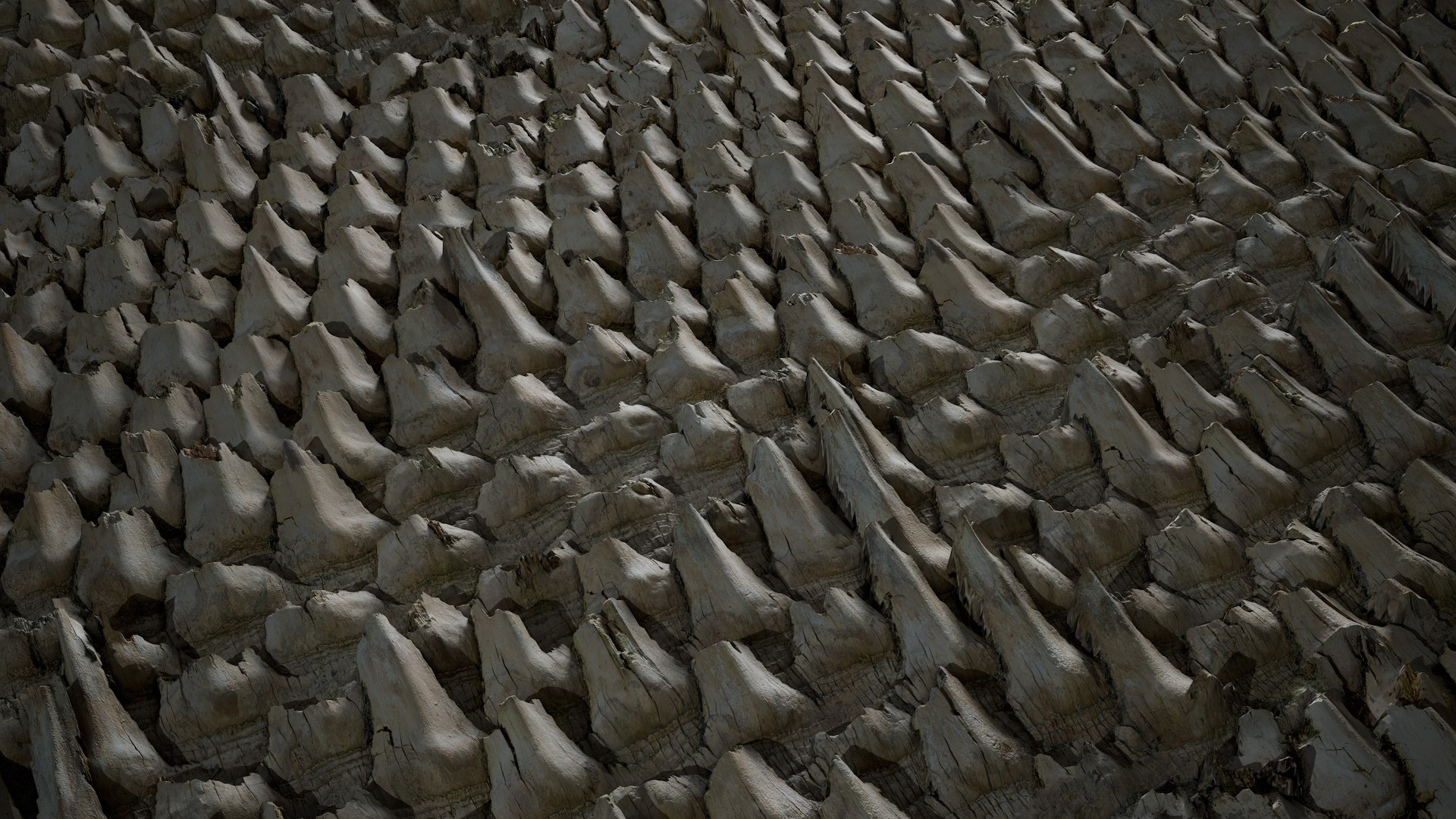 Anydrafts Phoenix canariensis Bark 08 Texture_2