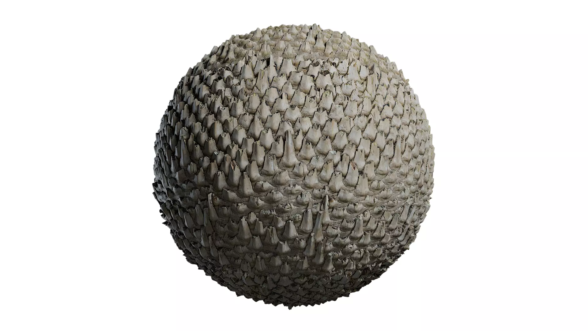 Anydrafts Phoenix canariensis Bark 08 Texture_0