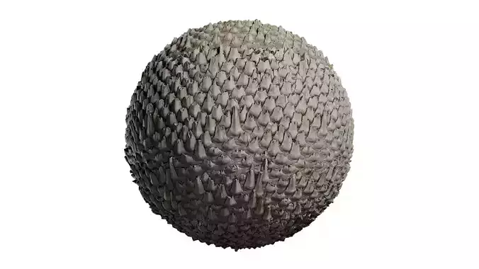 Anydrafts Phoenix canariensis Bark 08