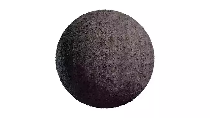 Anydrafts Picea asperata Bark 01