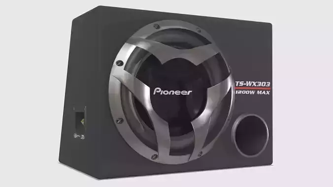 Car Subwoofer 3D Model - Pioneer TS-WX303 3D model