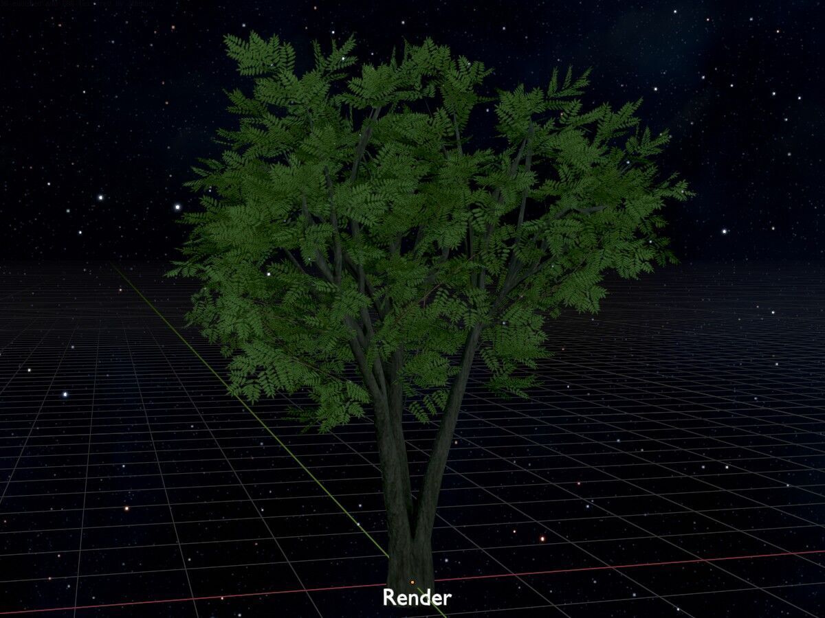 Japanese pagoda tree summer 5000mm Low-poly 3D model_17