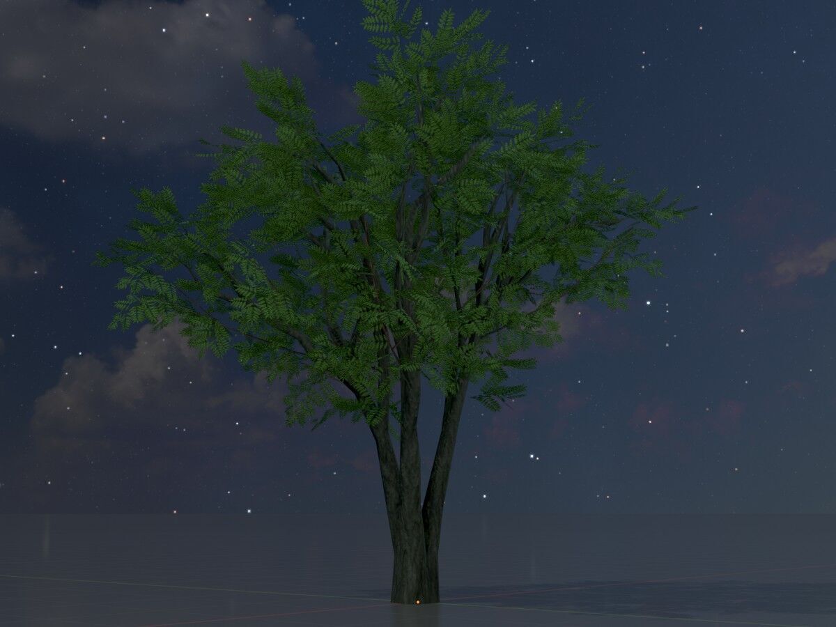 Japanese pagoda tree summer 5000mm Low-poly 3D model_4