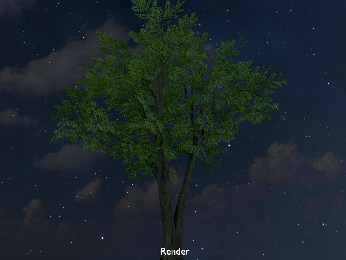 Japanese pagoda tree summer 5000mm Low-poly 3D model_20