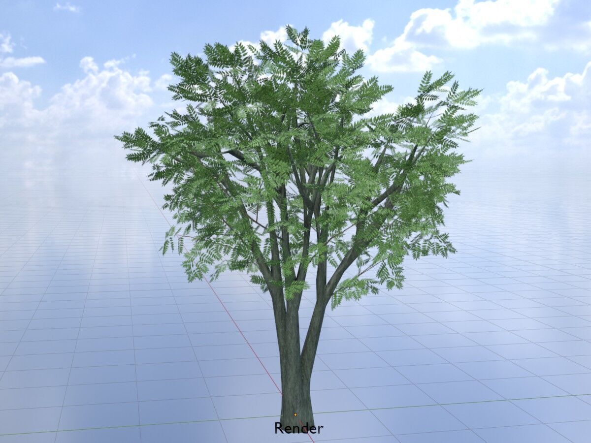 Japanese pagoda tree summer 5000mm Low-poly 3D model_18