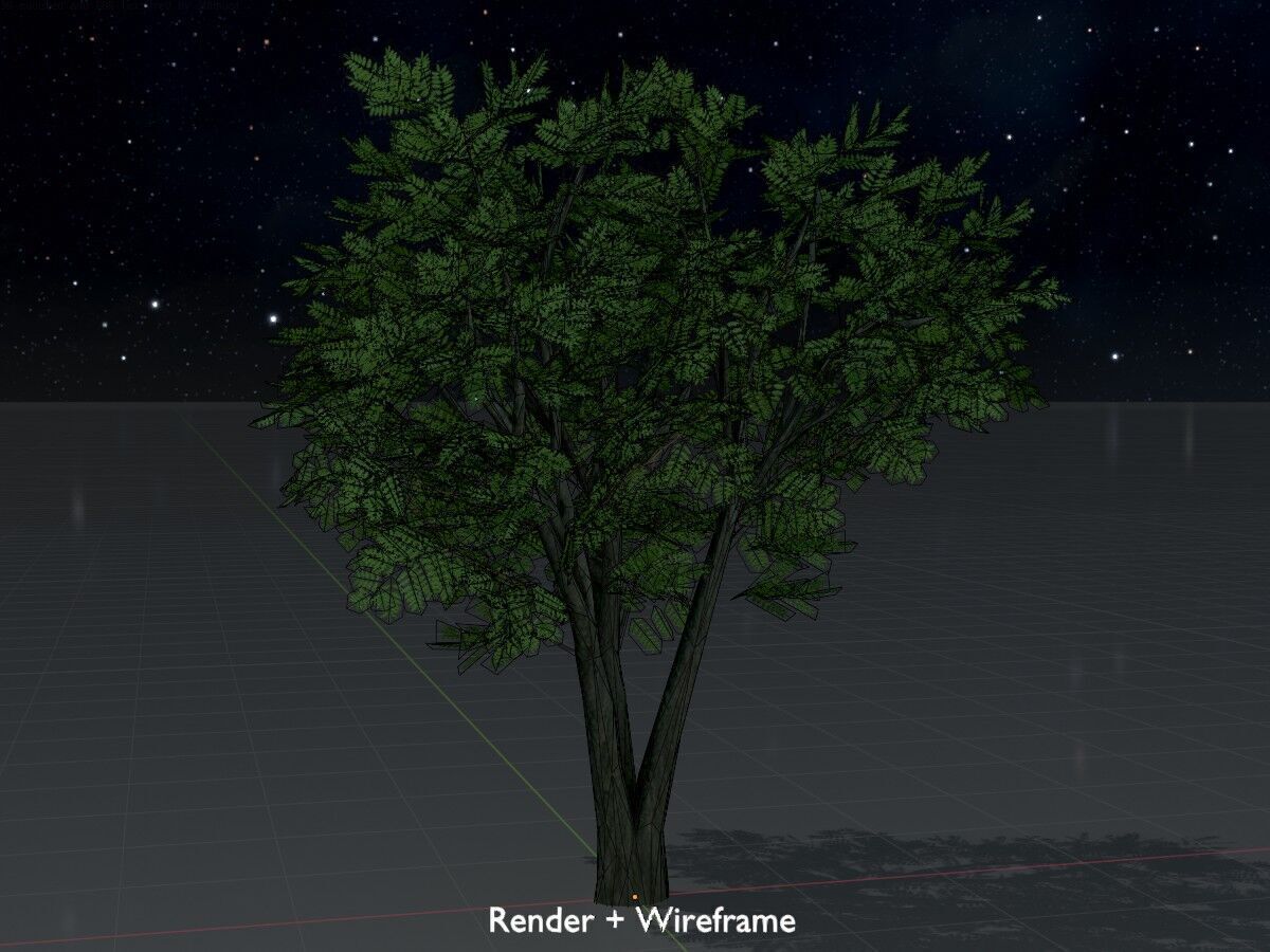 Japanese pagoda tree summer 5000mm Low-poly 3D model_8