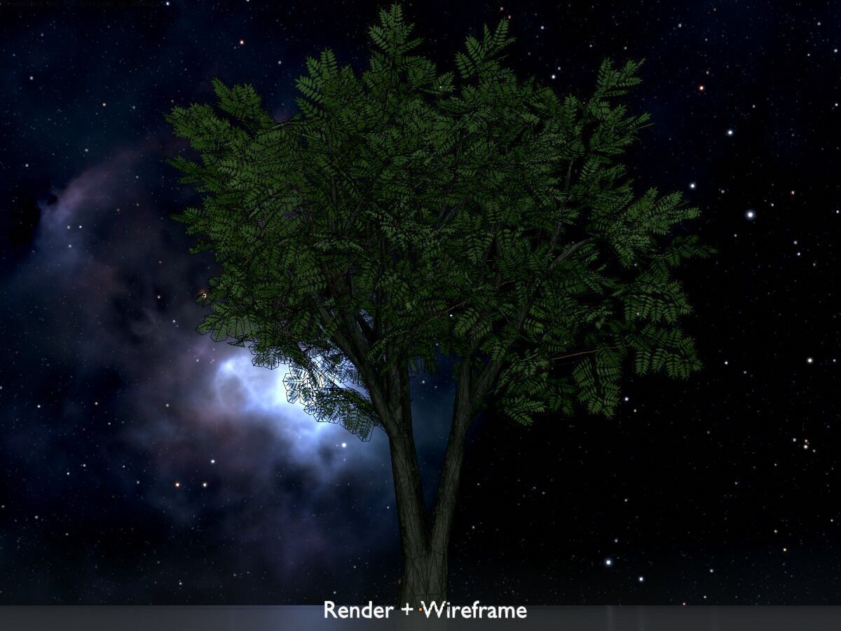 Japanese pagoda tree summer 5000mm Low-poly 3D model_7