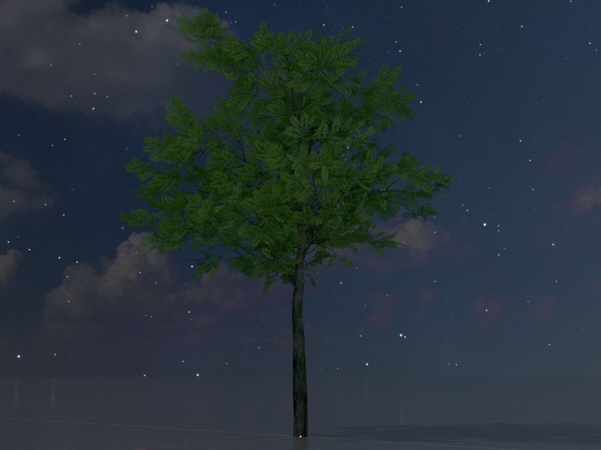 Japanese pagoda tree summer 8000mm Low-poly 3D model_4