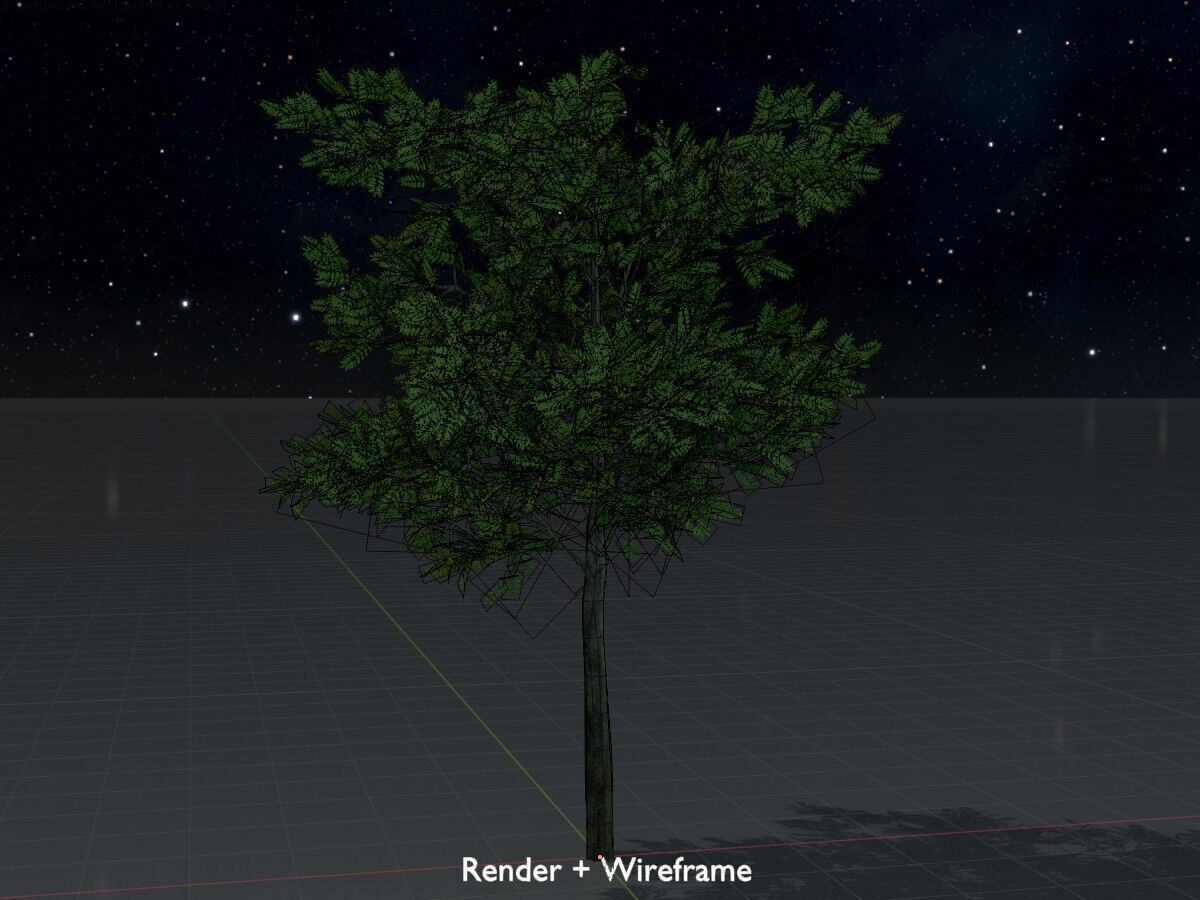 Japanese pagoda tree summer 8000mm Low-poly 3D model_8