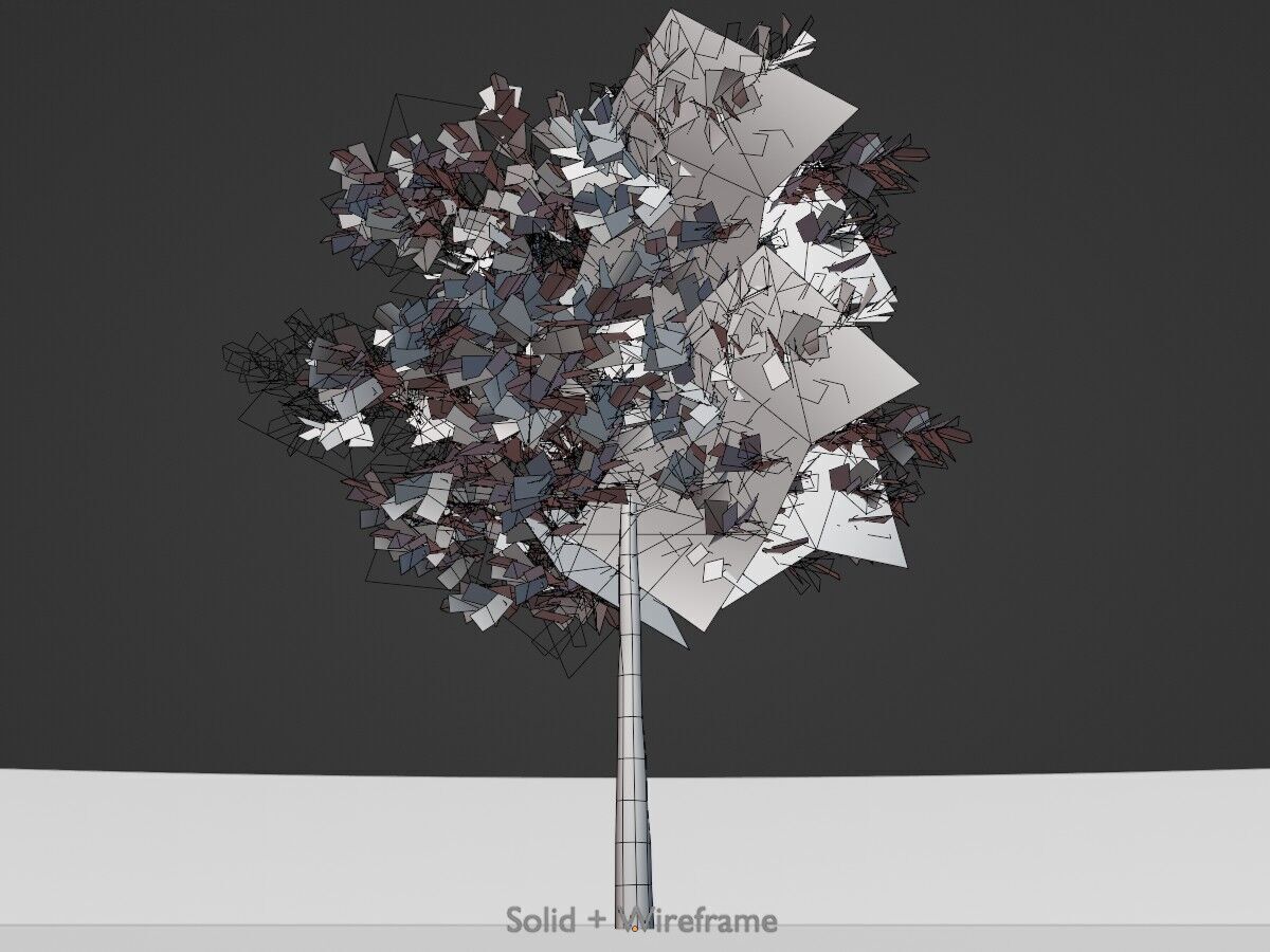 Japanese pagoda tree summer 8000mm Low-poly 3D model_9