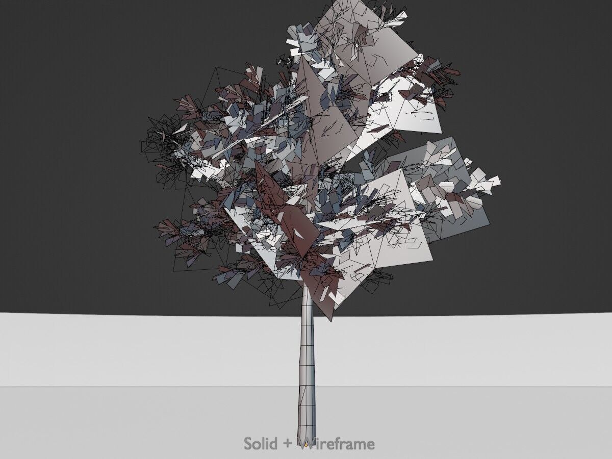 Japanese pagoda tree summer 8000mm Low-poly 3D model_11