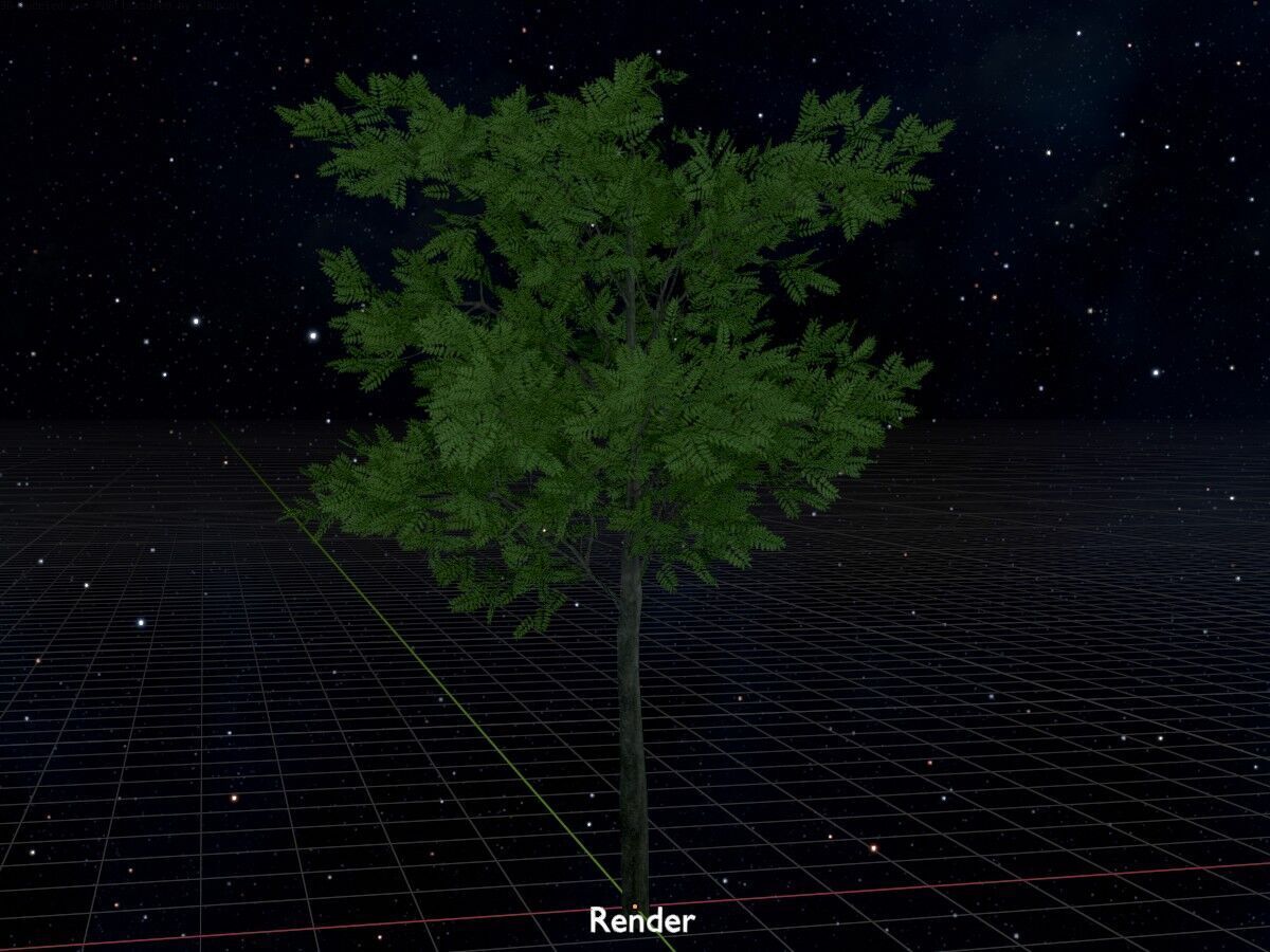 Japanese pagoda tree summer 8000mm Low-poly 3D model_17