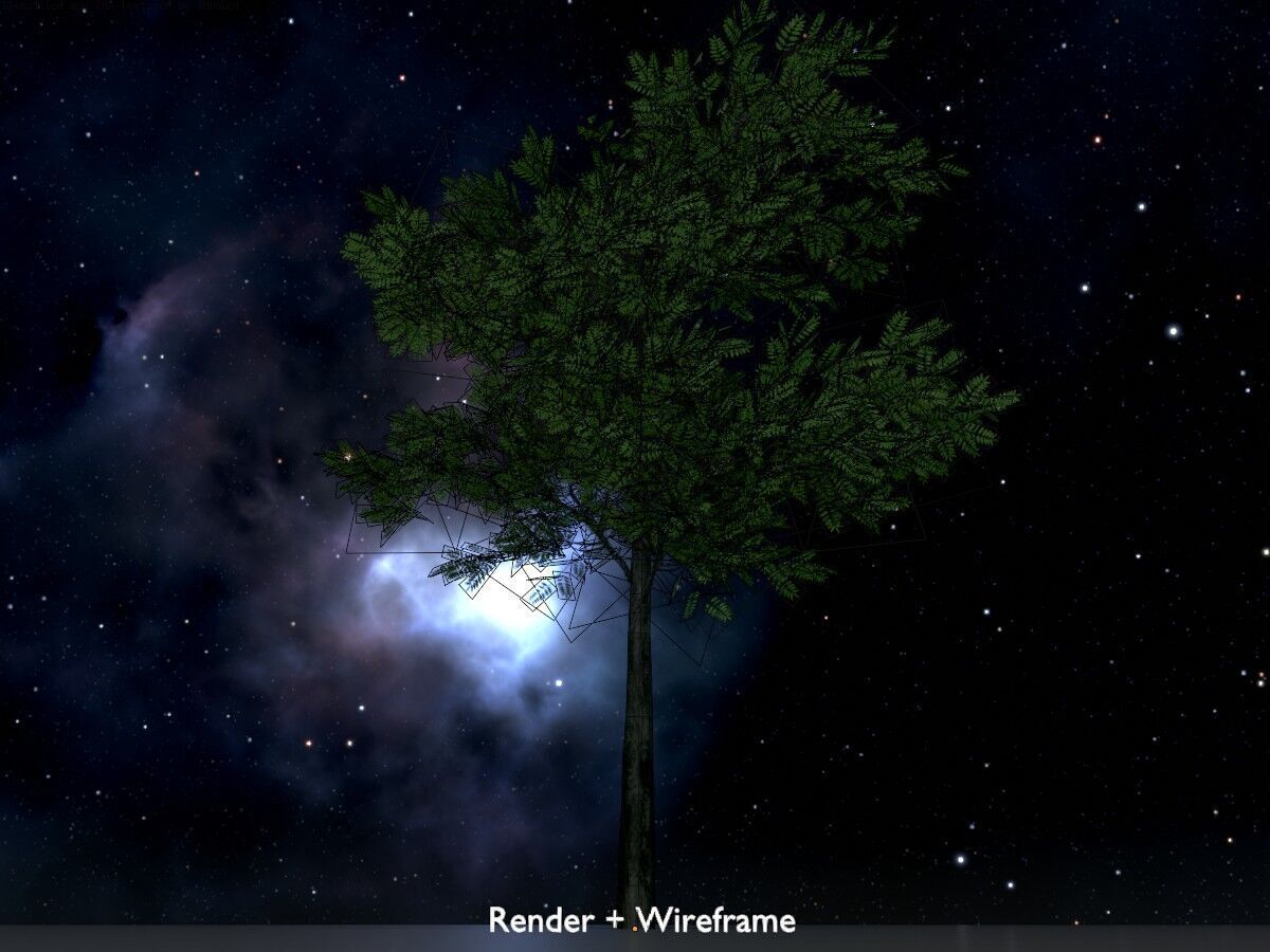 Japanese pagoda tree summer 8000mm Low-poly 3D model_7