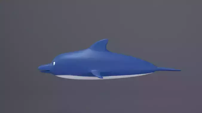  Dolphin 3D Model