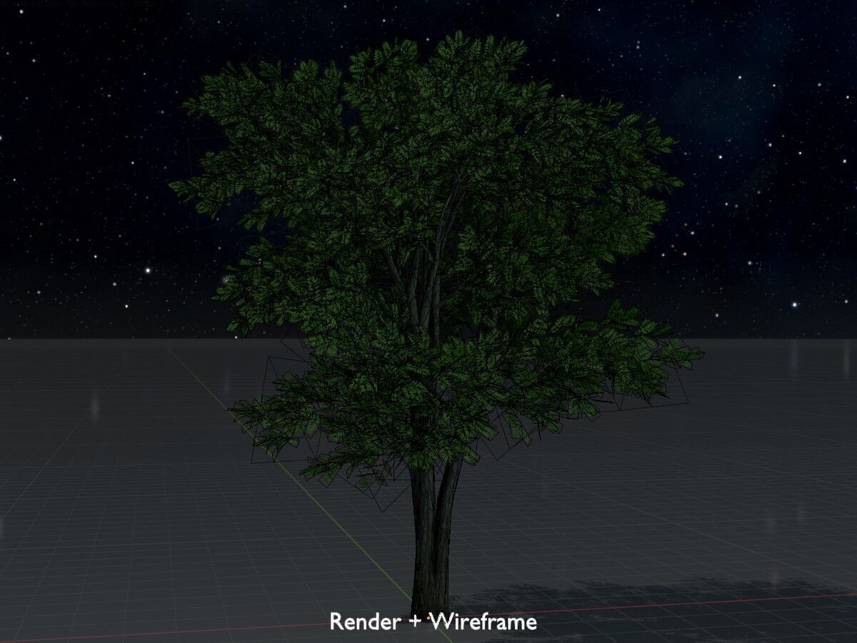 Japanese pagoda tree summer 12000mm Low-poly 3D model_8