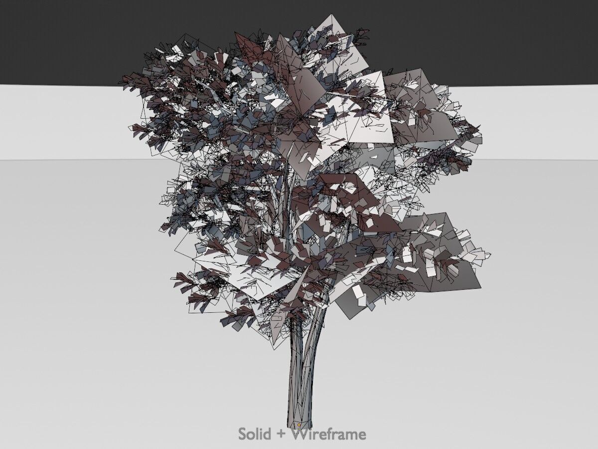 Japanese pagoda tree summer 12000mm Low-poly 3D model_12