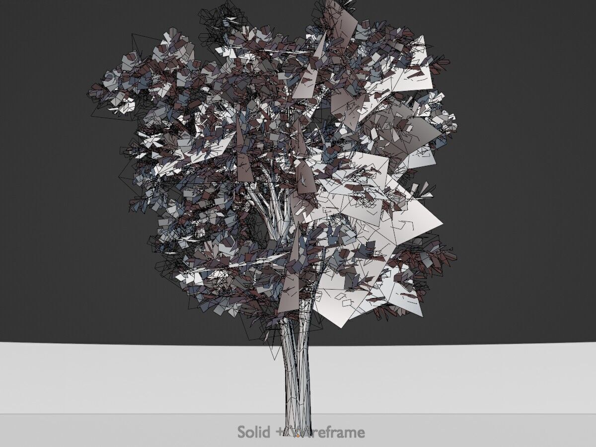 Japanese pagoda tree summer 12000mm Low-poly 3D model_11