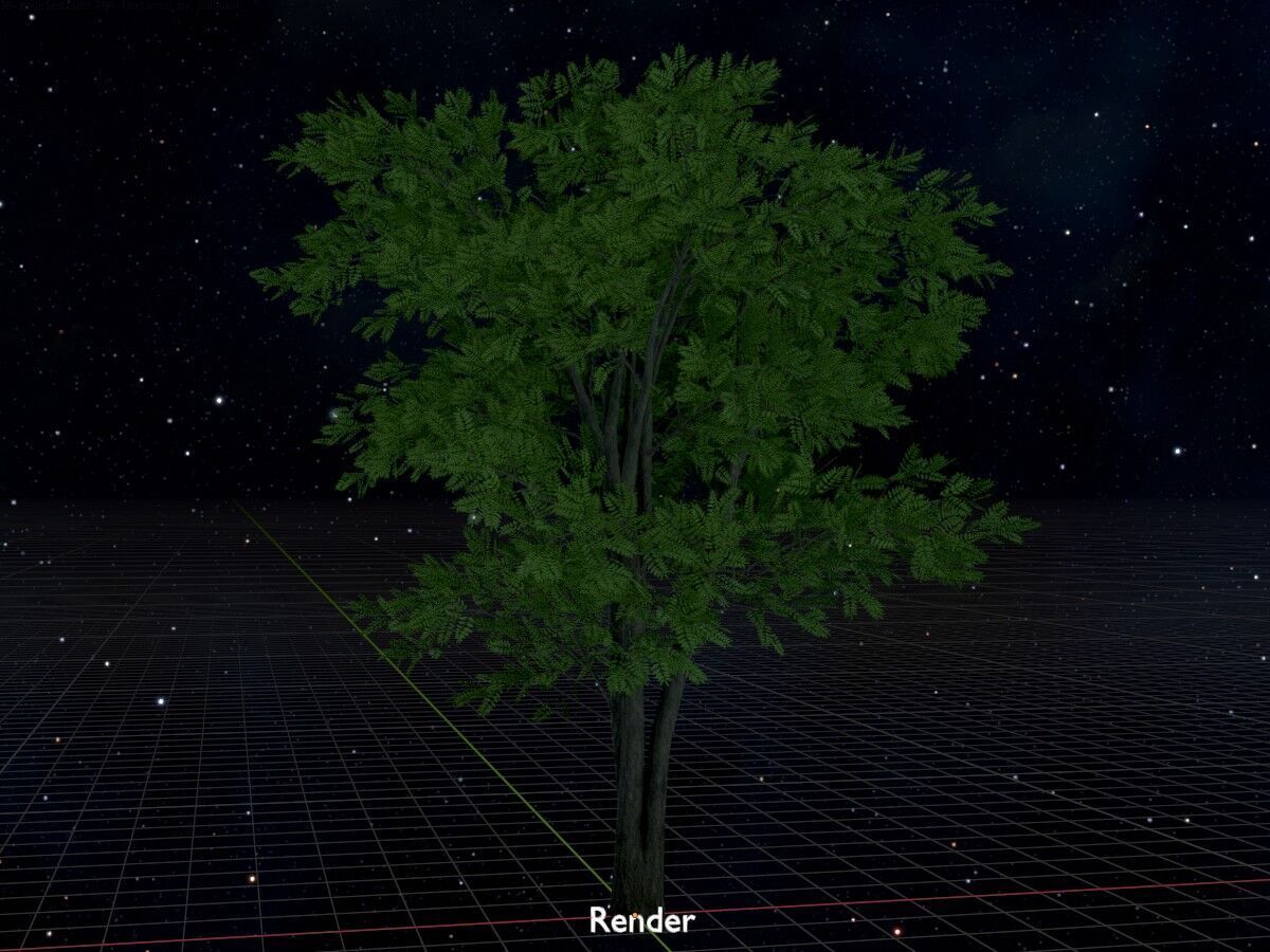 Japanese pagoda tree summer 12000mm Low-poly 3D model_17