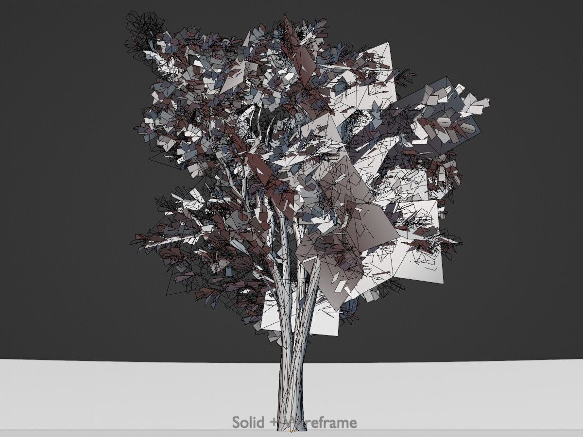 Japanese pagoda tree summer 12000mm Low-poly 3D model_9