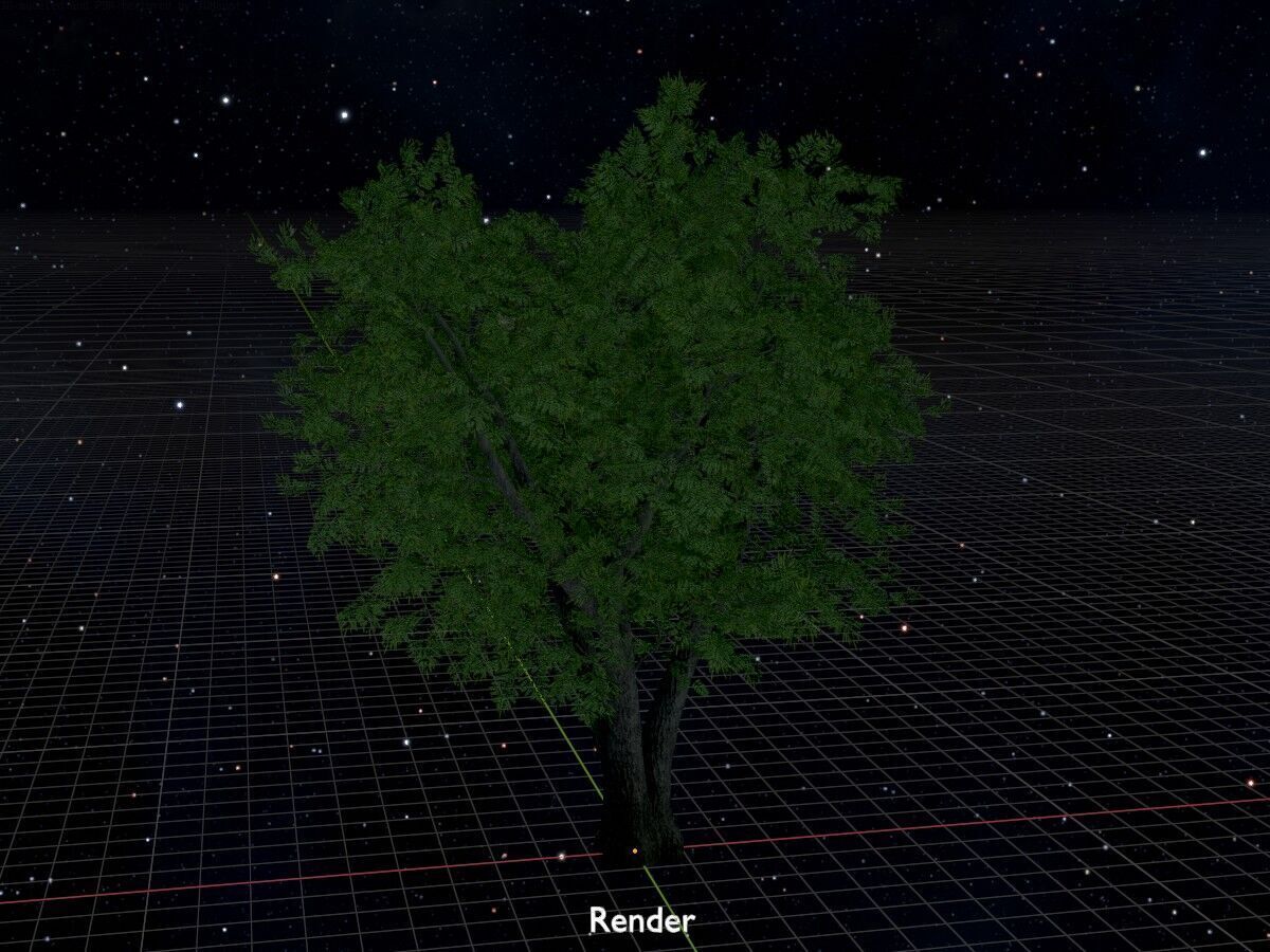 Japanese pagoda tree summer 16000mm Low-poly 3D model_17