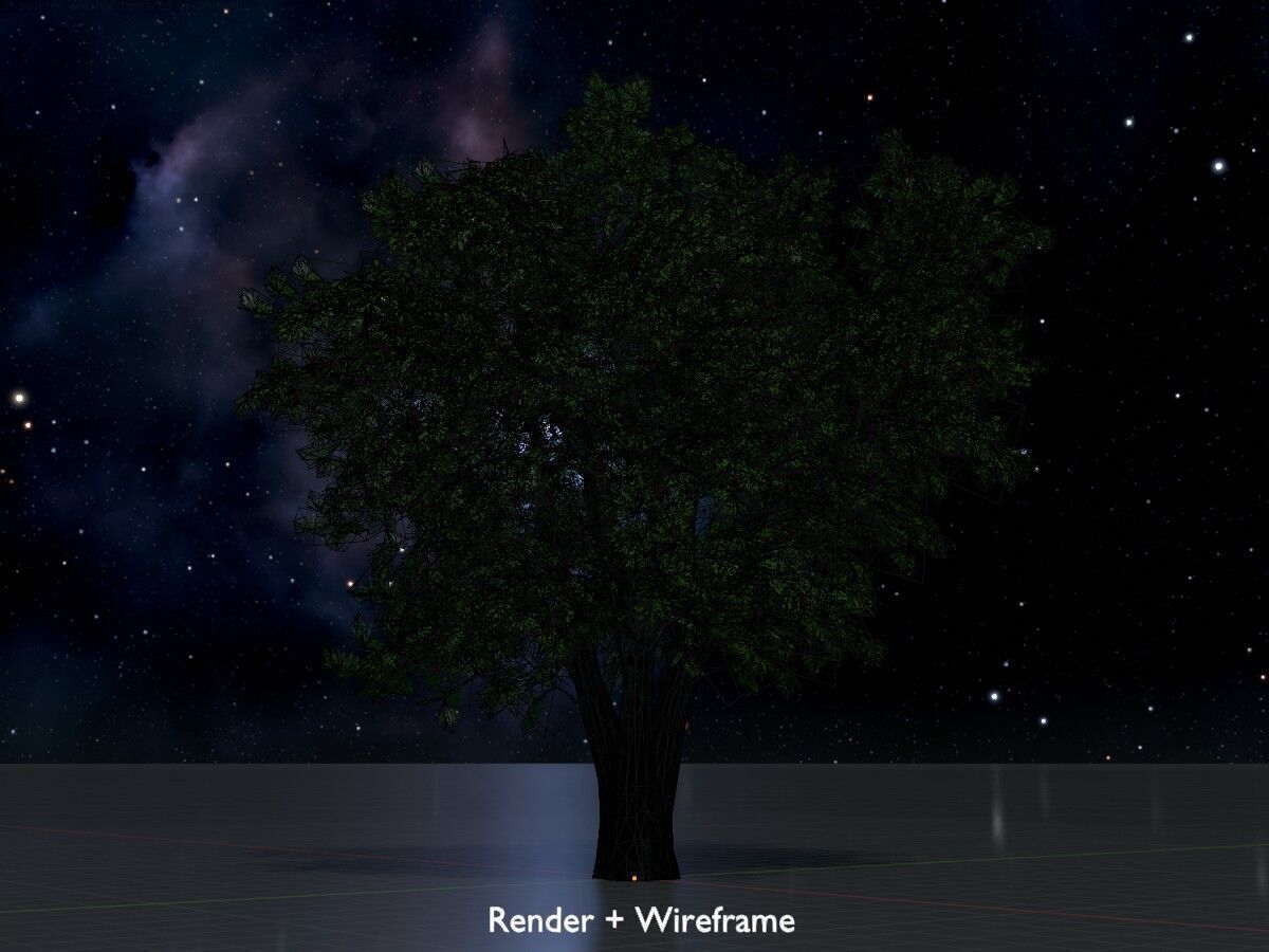 Japanese pagoda tree summer 16000mm Low-poly 3D model_7