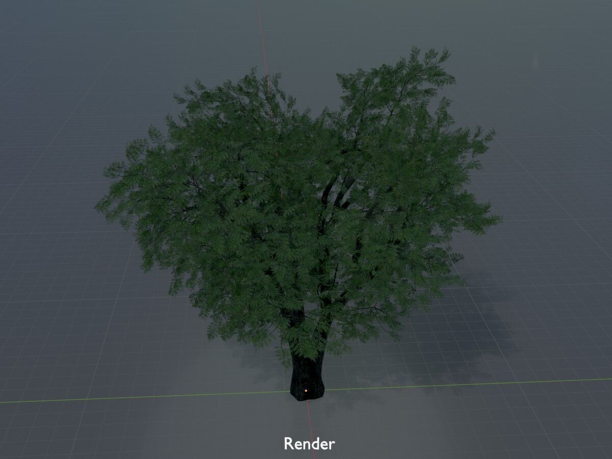 Japanese pagoda tree summer 16000mm Low-poly 3D model_16