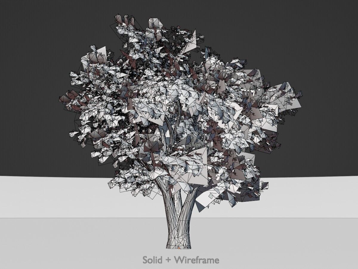 Japanese pagoda tree summer 16000mm Low-poly 3D model_9