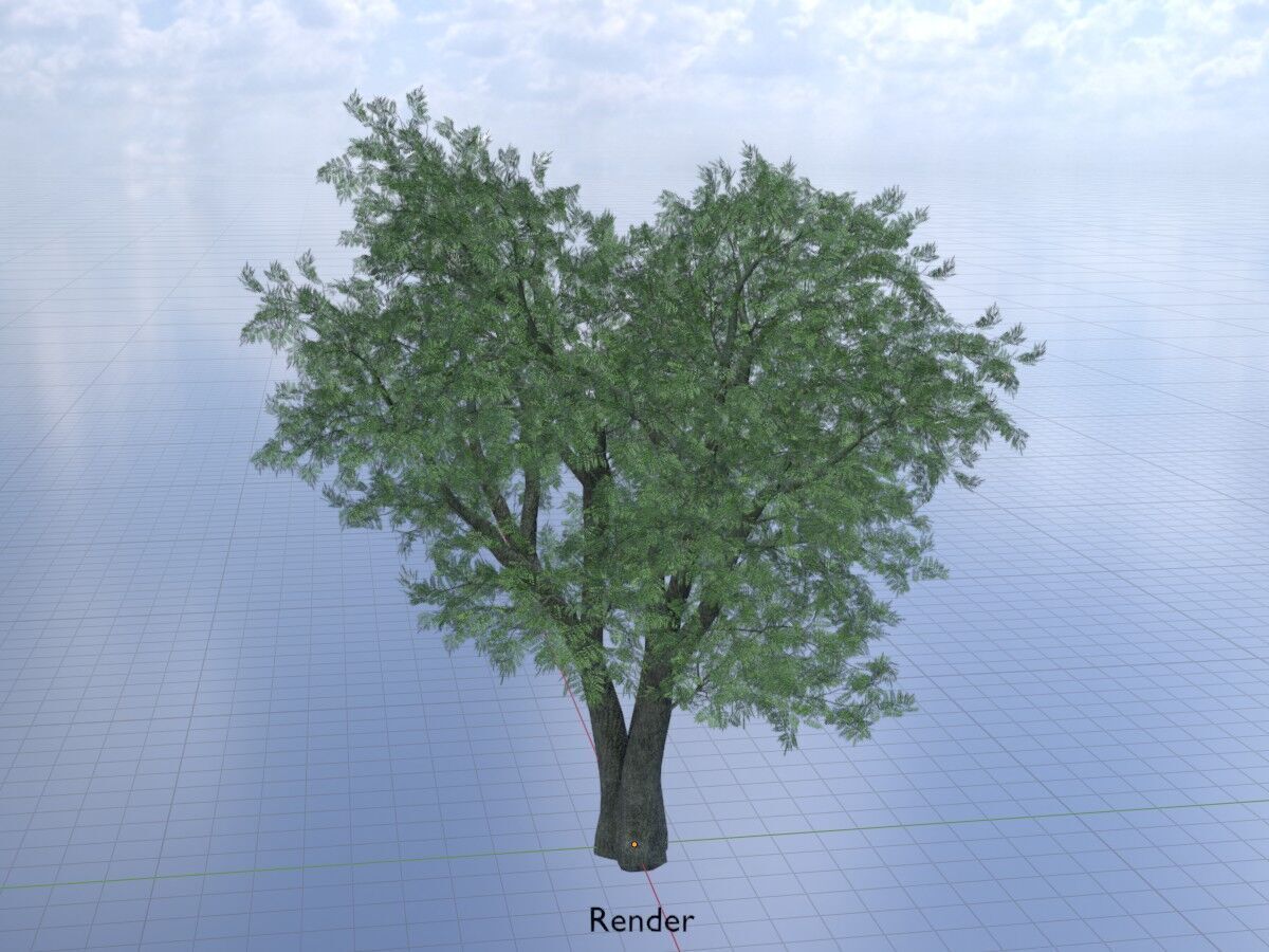 Japanese pagoda tree summer 16000mm Low-poly 3D model_18