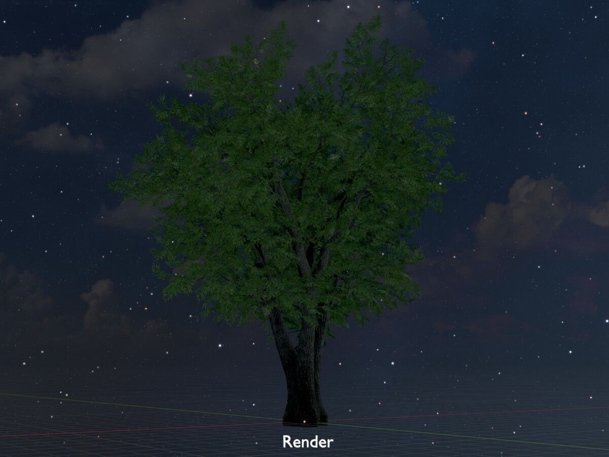 Japanese pagoda tree summer 16000mm Low-poly 3D model_20