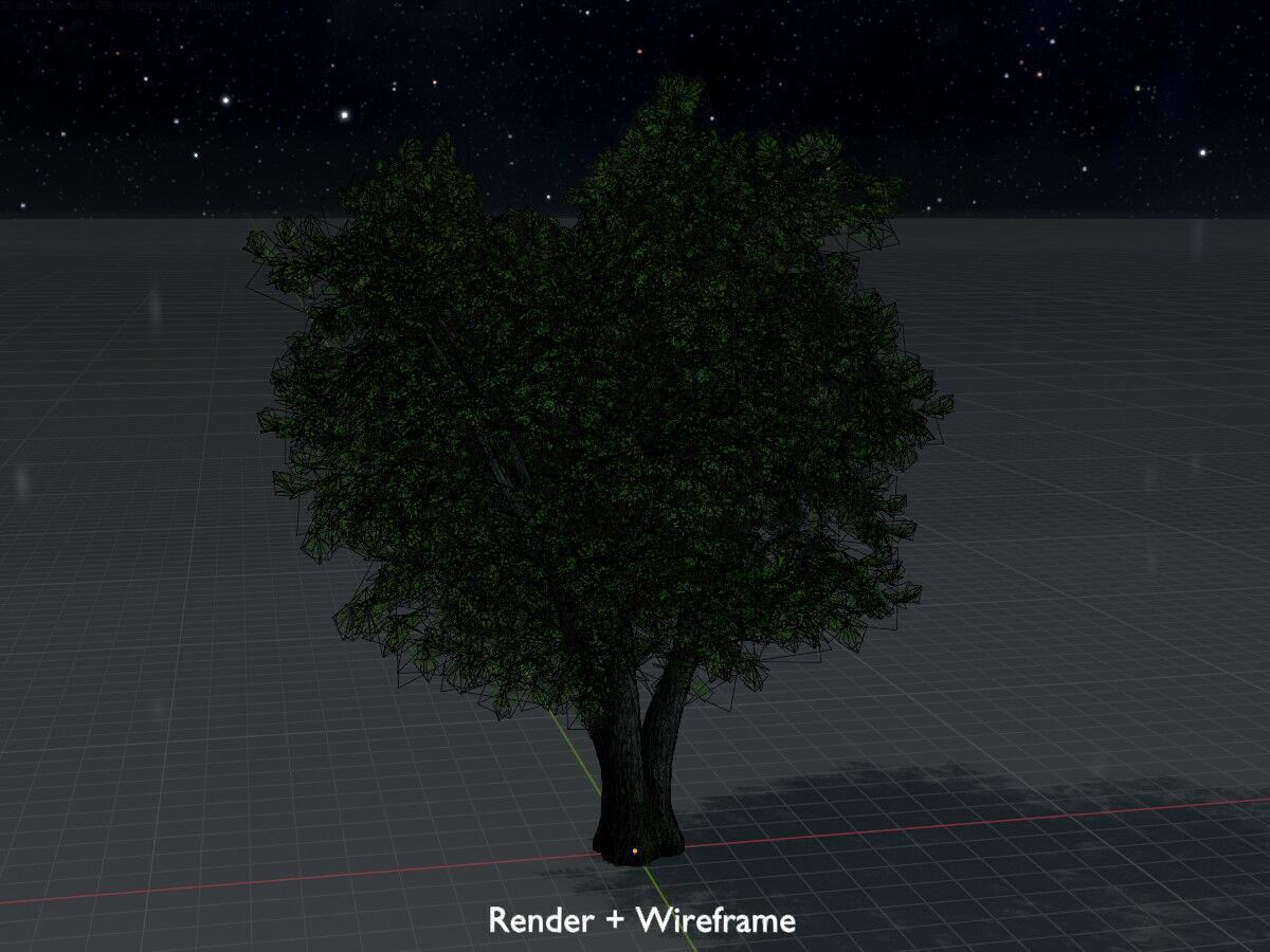 Japanese pagoda tree summer 16000mm Low-poly 3D model_8