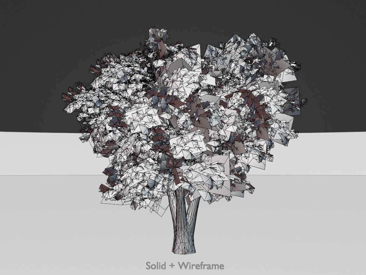 Japanese pagoda tree summer 16000mm Low-poly 3D model_11